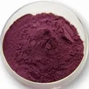 Mulberry Powder 