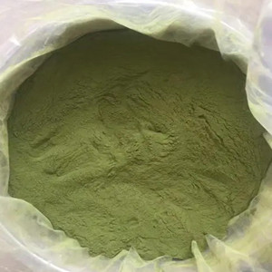 Leek powder