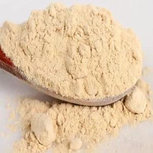 Onion powder
