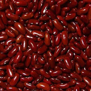 Seeds of red kidney bean