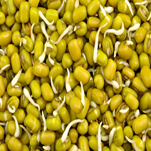 Mung bean seeds