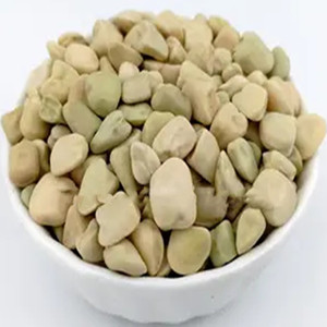 Seeds of pine willow