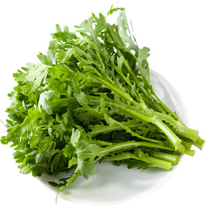 Seeds of crowndaisy chrysanthemum of small leaves