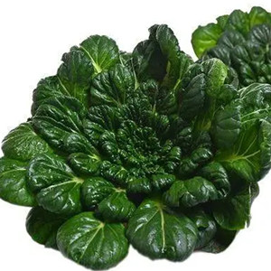 Seeds of black cabbage Wuta-tsai