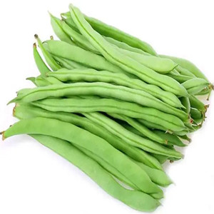 Green Bean Seeds