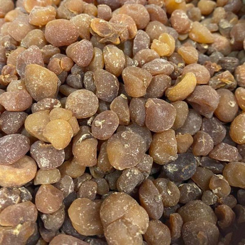 Bolbostemma Paniculatum