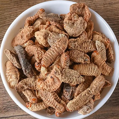 Larvae of Scarabaeoidea