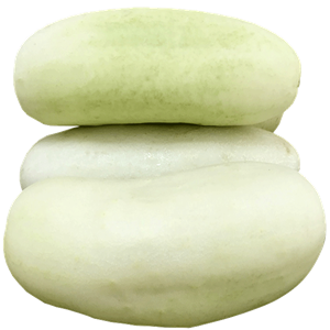Seeds of white jade cucumber