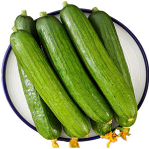 Seeds of fruit long cucumber
