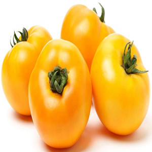 Seeds of yellow tomato