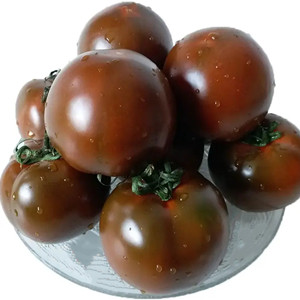 Seeds of purple tomato