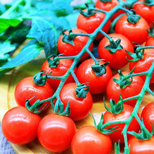 Seeds of red round cherry tomato