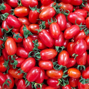 Seeds of red long cherry tomato