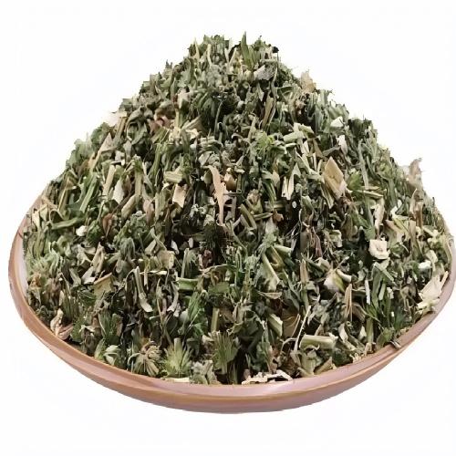 Galium Spurium
