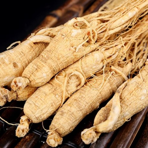 White Ginseng Tail
