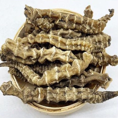 Stachya Geobombycis 