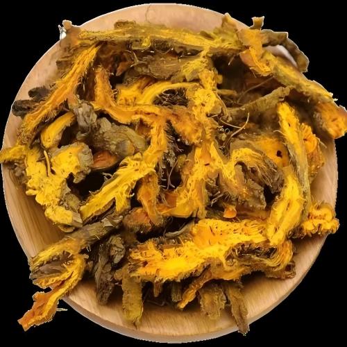 Coptis Chinensis Franch