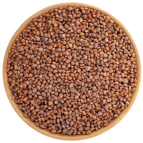 Raphani Semen