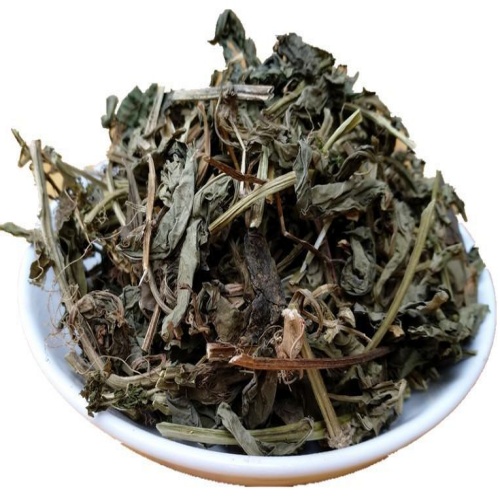 Herba Ocimi Basilici‌