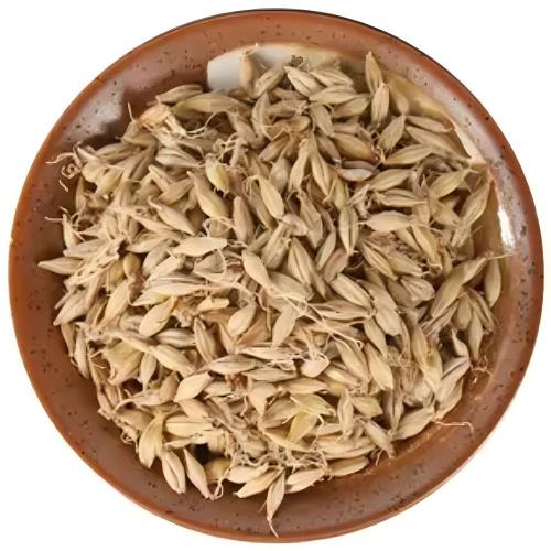 Hordei Fructus Germinatus