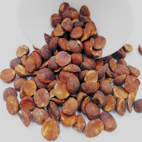 Loquat Seed