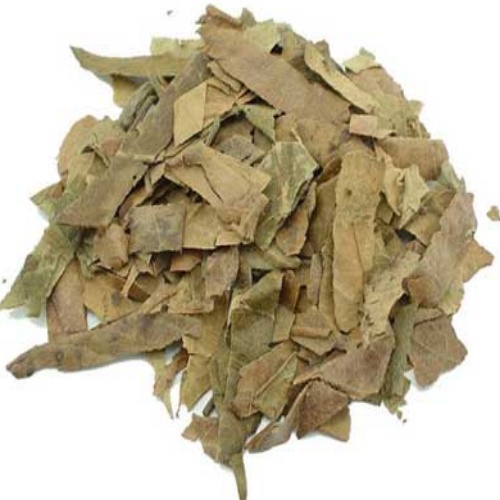 Loquat Leaves