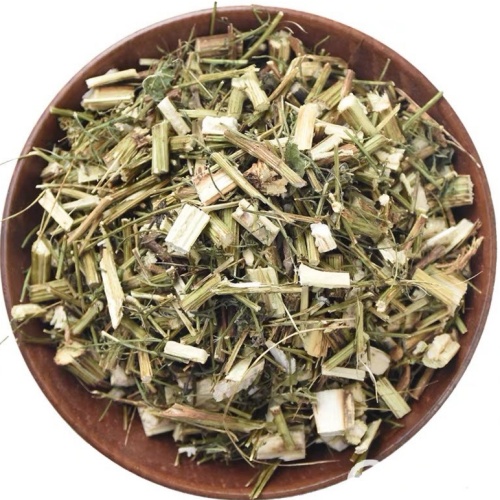 Artemisia Annua