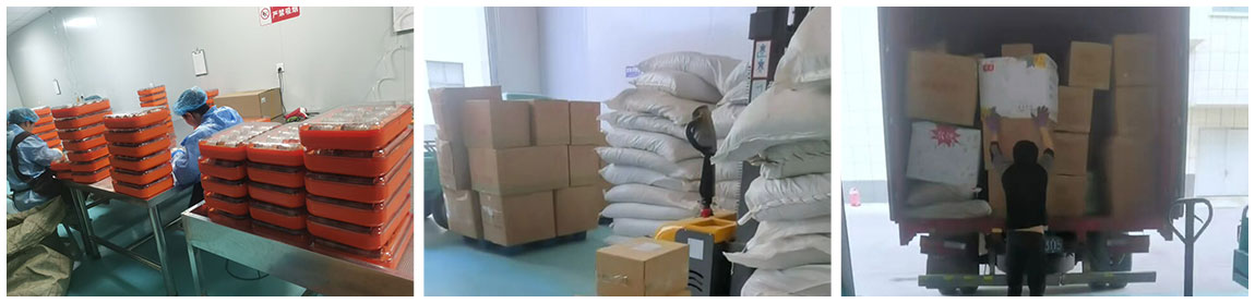 1769134053886185.jpg 1-1.jpg